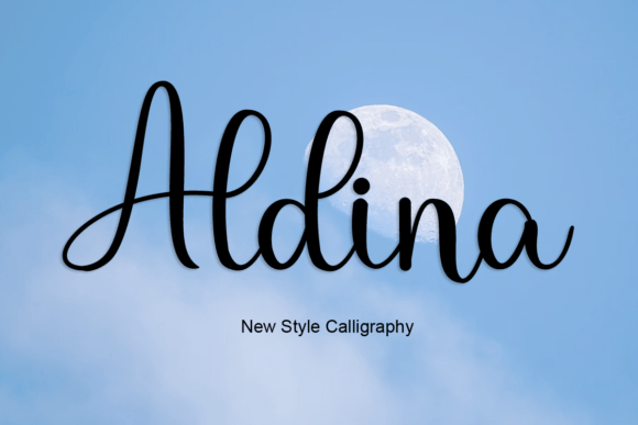 Aldina: The Handwritten Font That Elevates Campaign Design
