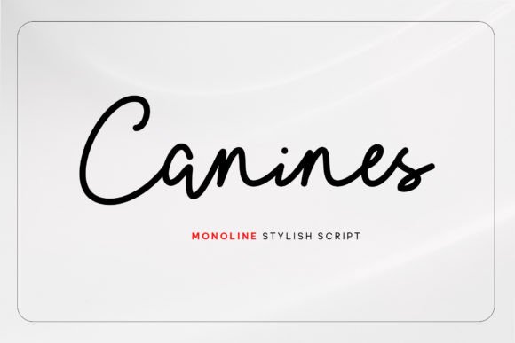 Canines: A Modern Script Font for Small Business Branding