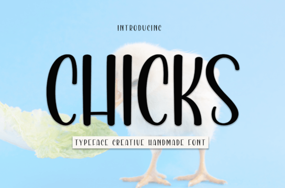 Chicks: The Handwritten Font That Stops the Scroll