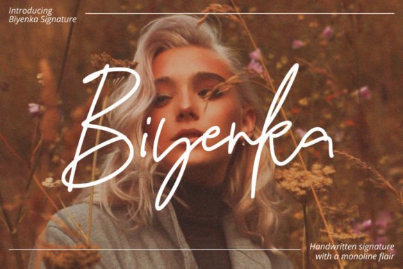Elevating Web Design with the Biyenka Signature Typeface