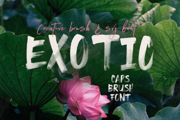 Exotic: A Bold Display Font for Modern Web Design