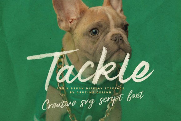 Tackle Font Review: A Bold Script for Modern Branding